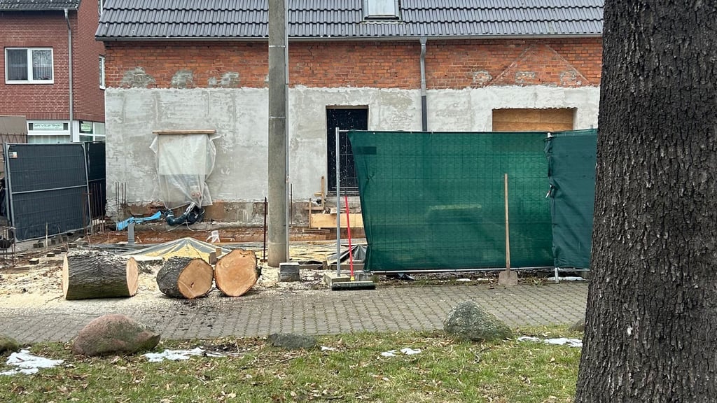 Übrig blieben von der Sommerlinde in Magdeburg-Diesdorf nur die Reste des Baumstamms.