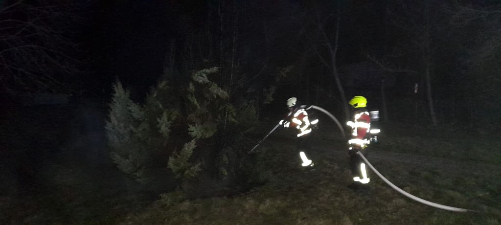 Am Mittwoch gegen 3.30 Uhr brannten in der Biaser Straße Koniferen.