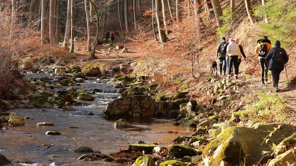 Der wohl schönste Aufstieg zum Brocken führt auf dem Heinrich-Heine-Weg an den Ilsefällen entlang.