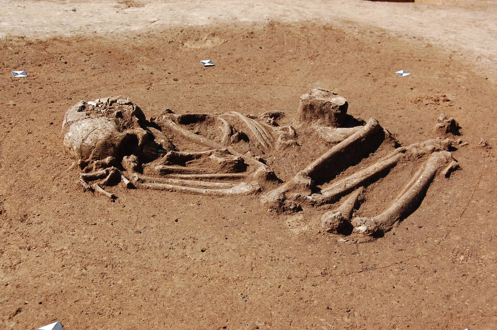 In „hockender“ Position auf der Seite liegend wurde vor rund 7.000 Jahren diese Frau nahe Rippach bestattet.