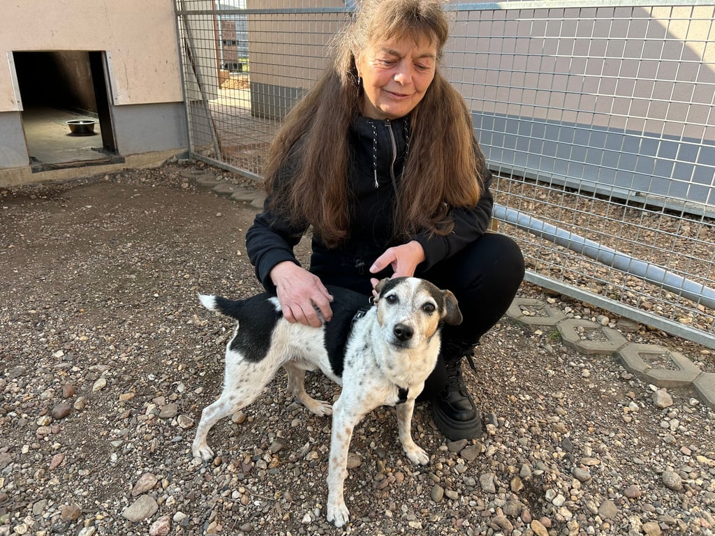 Vorsitzende Christine Strempel mit einem ihrer Schützlinge im Tierschutzverein in Eickendorf.