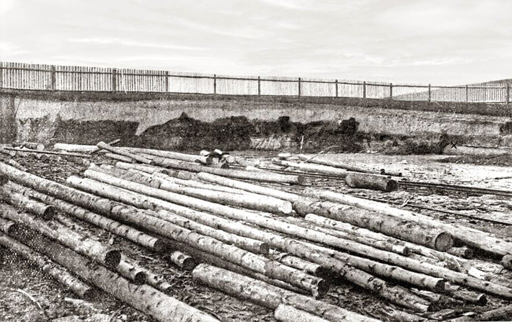 Diese Aufnahme zeigt den  Holzlagerplatz des Hahn’schen Sägewerkes an der Schneidemühle mit der altsteinzeitlichen Fundstätte, die im Bildhintergrund zu sehen ist.