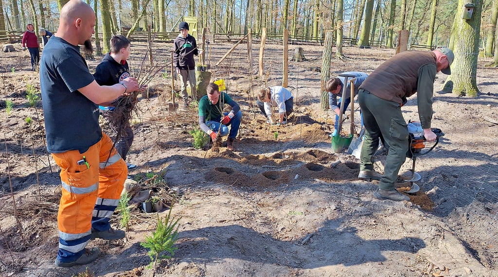 65 Jüngere und Ältere halfen gestern mit, das Mini-Wald-Projekt im Klötzer Tierpark umzusetzen.