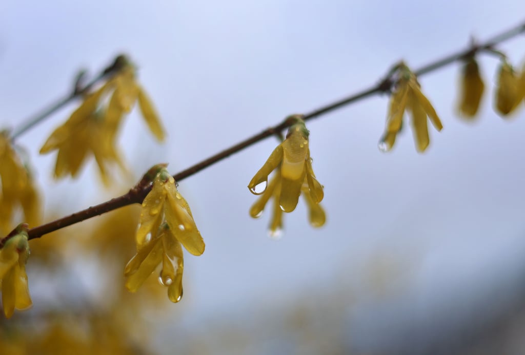 Der Deutsche Wetterdienst hat für Regionen in Sachsen-Anhalt am Sonntag Warnungen vor Sturm herausgegeben.