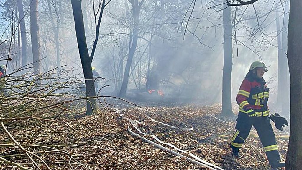 Das Feuer in einem Waldstück bei Lindau konnte gelöscht werden.