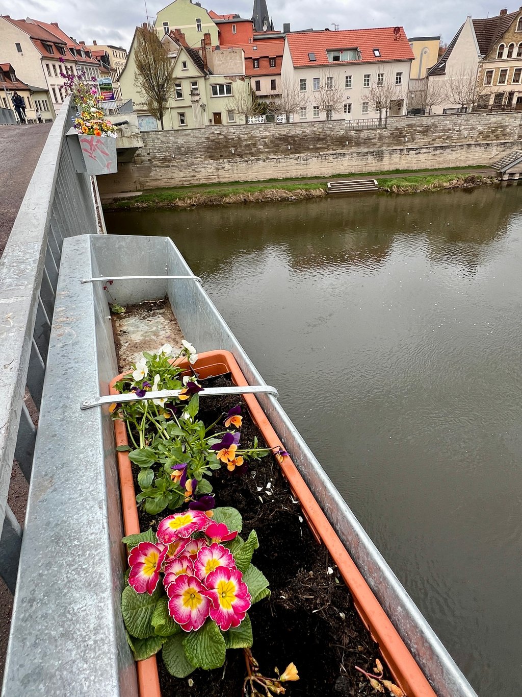 Mehrere Blumen und sogar ein ganzer Blumenkasten wurden von der bepflanzten Fußgängerbrücke gestohlen.