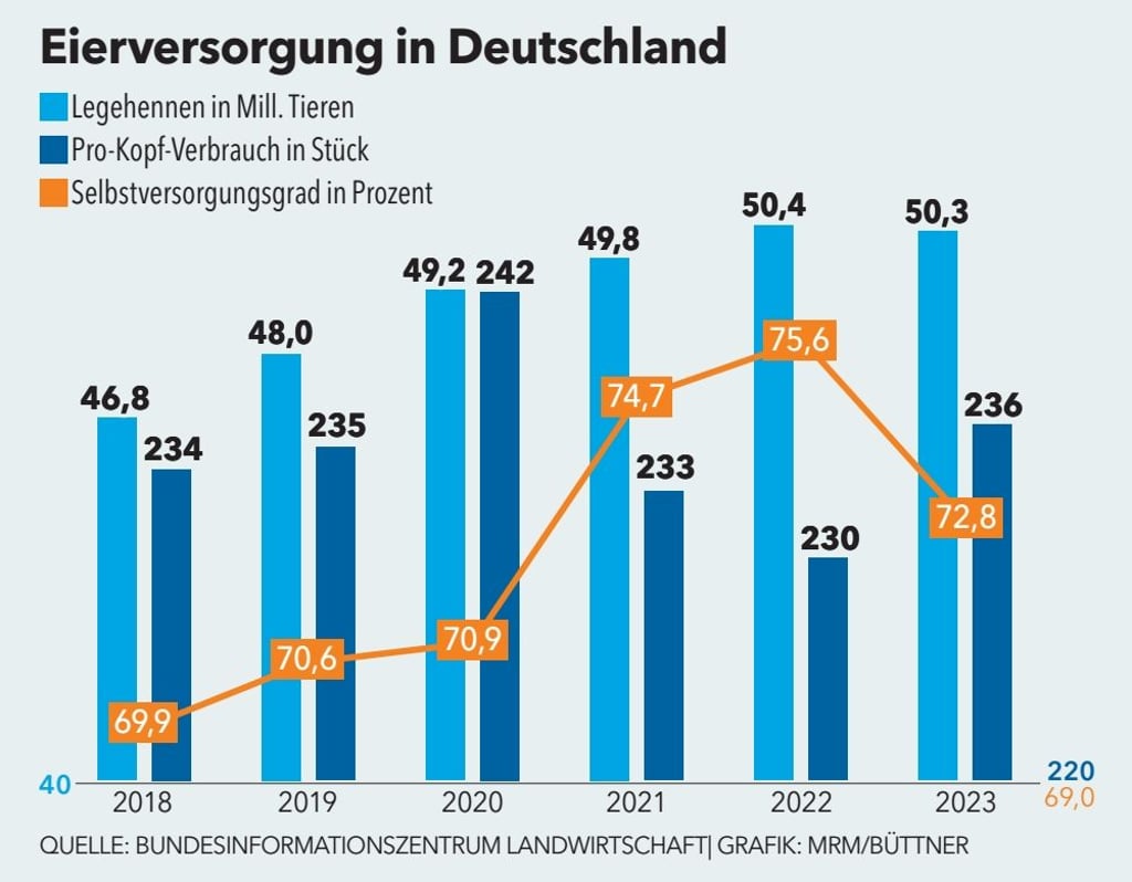 Während der Pro-Kopf-Verbrauch an Eiern von 2022 auf 2023 gestiegen ist, sank der Selbstversorgungsgrad in Deutschland.