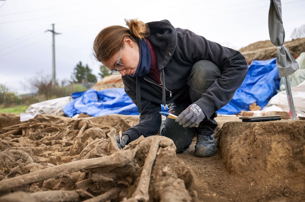 Alle untersuchten Skelette weisen Verletzungen auf. (Foto: Handout)