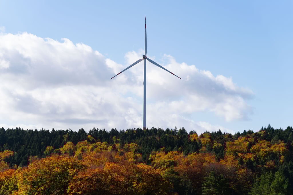 40 Windräder will der Energiekonzern EnBW im Wald zwischen Breitenfeld und Solpke errichten - sie sollen Strom für die Gewinnung grünen Wasserstoffs liefern.