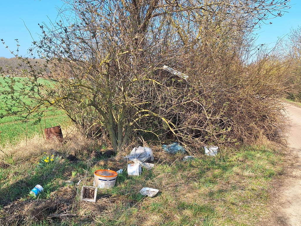Illegale Müllablagerungen gab es zuletzt wieder bei Ilberstedt.