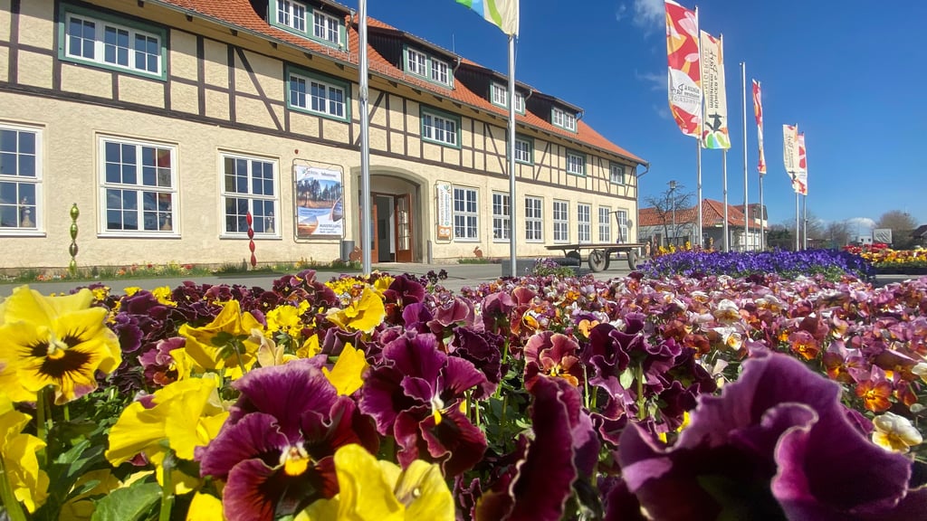Vor dem Saisonstart im Bürger- und  Miniaturenpark Wernigerode wurden Tausende Blumen gepflanzt.