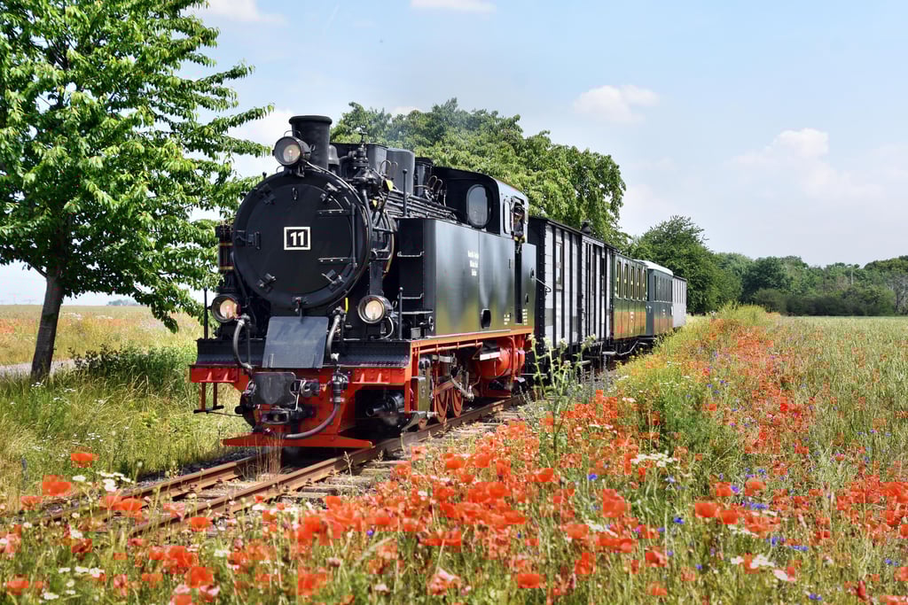 Die Mansfelder Bergwerksbahn startet in die Saison.