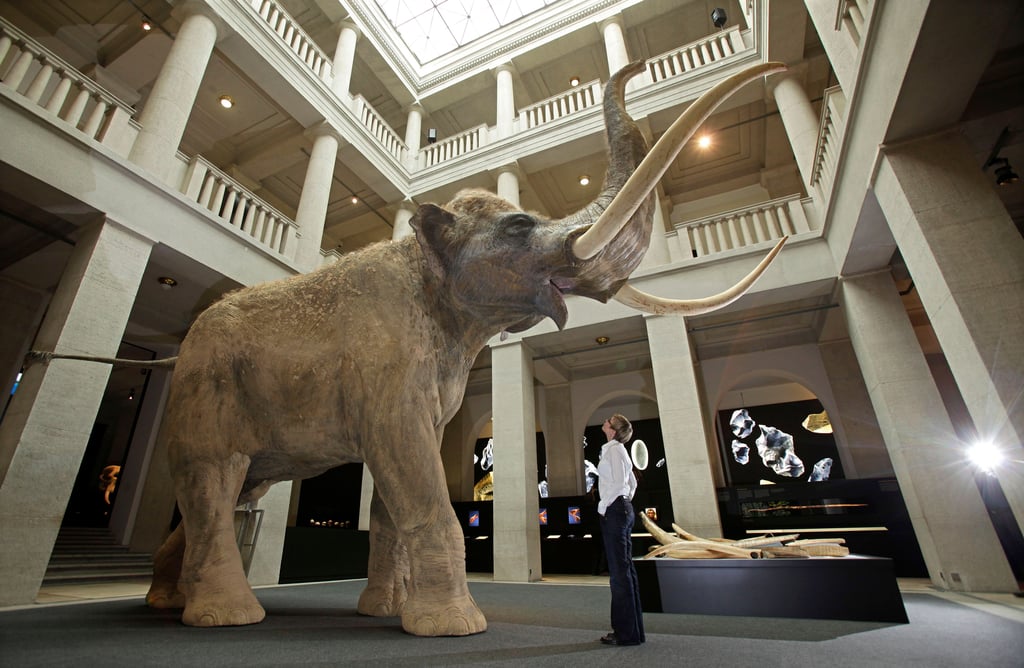 Im Landesmuseum in Halle haben Kinder und Jugendliche bis 18 Jahre freien Eintritt.