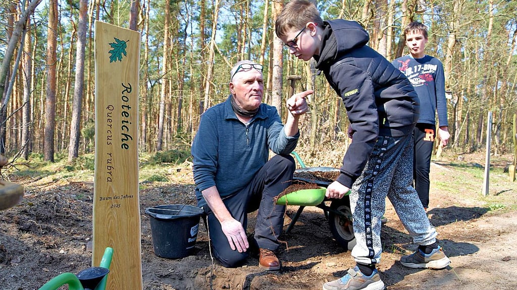 So wie der Jessener Sekundarschüler Toni, kippen die Kinder die Erde in das vorbereitete Loch.