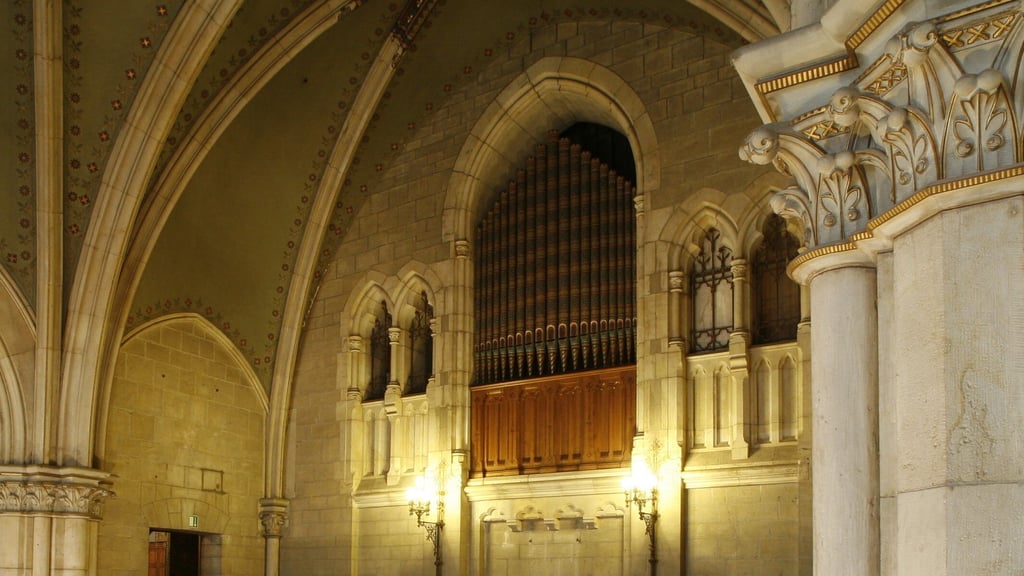 Blick auf die restaurierte, historische Walcker-Orgel in der Wernigeröder Schloßkirche St. Pantaleon und Anna.