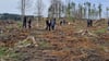 Schüler der Oskar-Kämmer-Schule helfen dabei, den Wald bei Elend aufzuforsten.