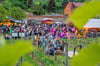 Angesagt: die „After-Work-Party“ der Winzervereinigung Freyburg im  Herzoglichen Weinberg.