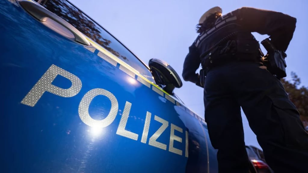 Ohne Fahrerlaubnis und mit gefälschtem Kennzeichen: In der Nacht zum Freitag griff die Polizei in der Börde einen 15-Jährigen auf.