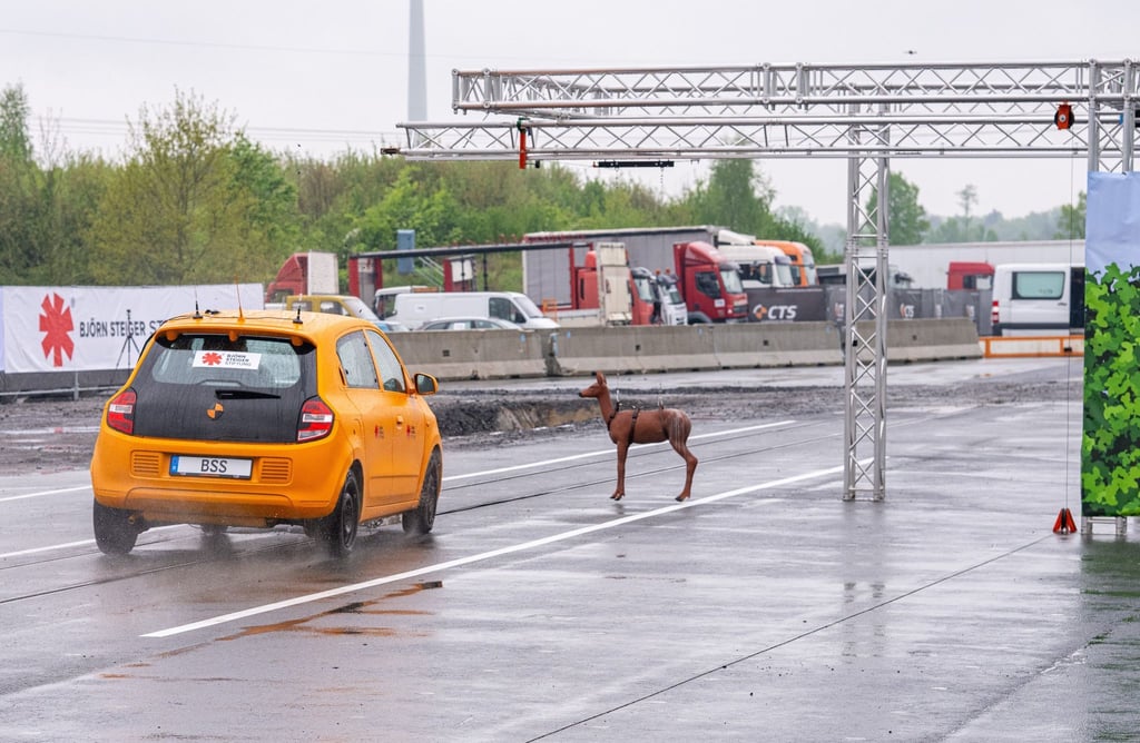 Plötzlich taucht das Reh vor einem Auto auf. Es kommt bei diesem Crashtest mit Tempo 80 zum Zusammenstoß und der Fahrer weicht nach links aus.