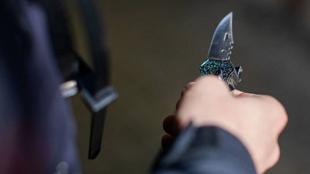 Ein 36-jähriger Mann hat in einem Regionalexpress nach Halberstadt die Bundespolizei auf den Plan gerufen. Er war ohne Ticket unterwegs, griff Einsatzkräfte an und führte eine Waffe im Rucksack.