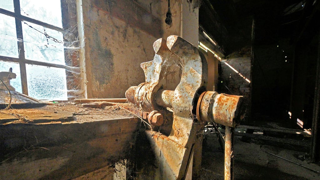 Einst wurde im Sägewerk emsig gearbeitet, seit Jahrzehnten steht es nun schon leer. Es droht der Verfall. Das will der Gierslebener Mühlenverein verhindern.