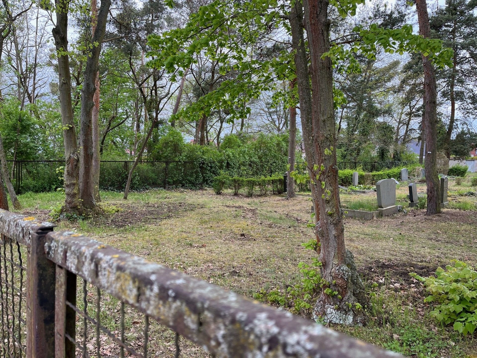 Diskussion im Ortschaftsrat: Wenn Gräber verschwinden: Friedhof in Kleinkühnau soll zu einem kleinen Park umgestaltet werden