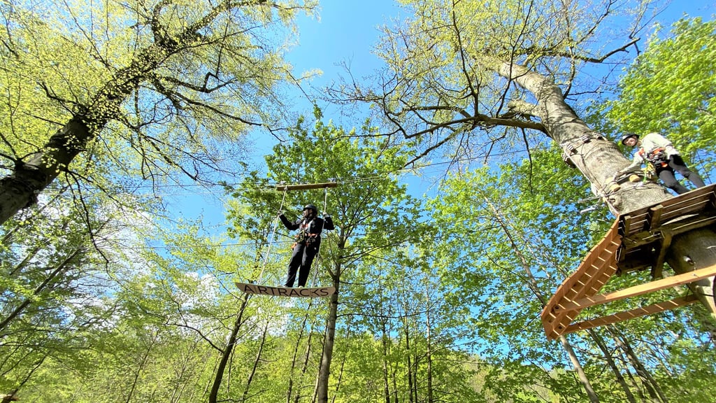 Im Kletterwald am Brocken in Ilsenburg sollen Gäste bald in luftiger Höhe snowboarden können.