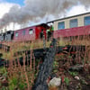 Wegen der Waldbrandgefahr passen die Harzer Schmalspurbahnen ihren Fahrplan an.&nbsp;