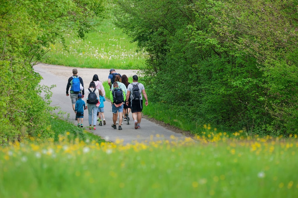 Zecken, Grasmilben und Co.: Im Grünen sind jetzt wieder kleine Plagegeister unterwegs, die man kennen sollte.