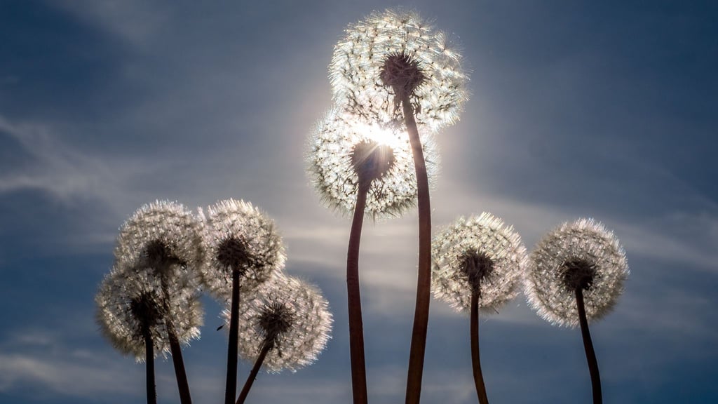 Sonne satt gab es am 1. Mai. Das ändert sich aber in den nächsten Tagen.