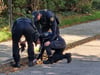 Die Polizei hatte nach der Messerattacke in Burg, bei der ein Syrer auf offener Straße verstorben ist, umgehend die Ermittlungen und Spurensuche im Südring eingeleitet.