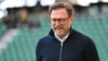 Der Trainer als Streitschlichter: Ralph Hasenhüttl vom VfL Wolfsburg.