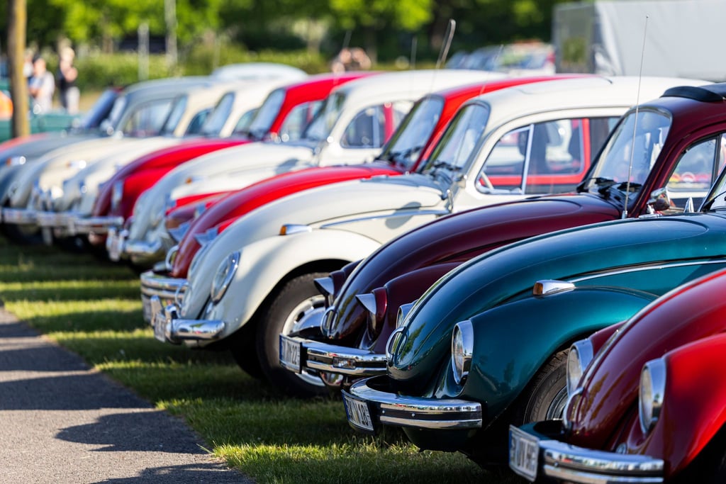 Autofans zeigen ihre klassischen Volkswagen in Hannover.