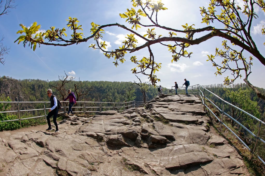 Sonniges Wetter auf der Rosstrappe lockt Wanderer im Harz an. Doch Sachsen-Anhalt hat noch andere schöne Touren zu bieten. (Foto: