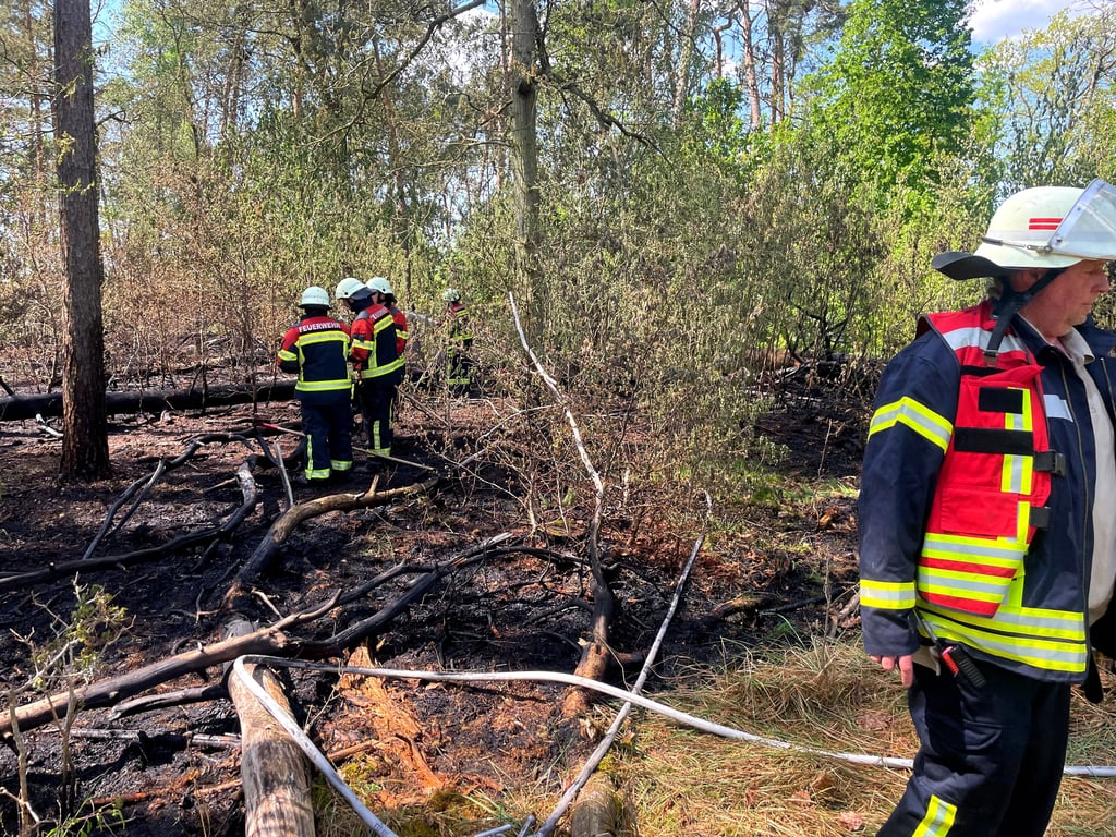 Rund 800 Quadratmeter Wald standen am 2. Mai nahe Reuden in Flammen.
