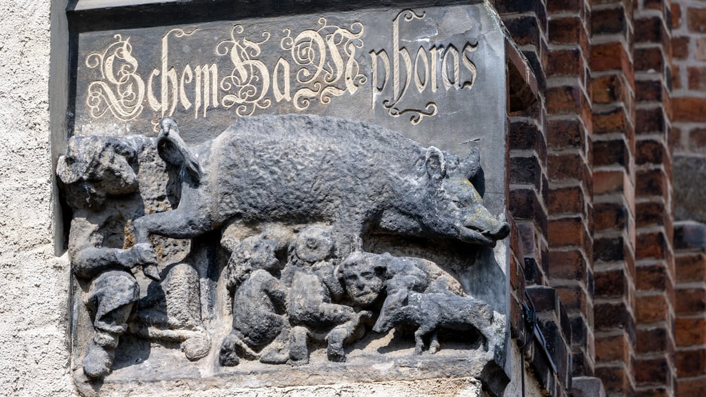 Das Relief an der Wittenberger Stadtkirche zeigt eine Sau, an deren Zitzen sich Menschen laben, die Juden darstellen sollen. Ein Rabbiner blickt dem Tier unter den Schwanz und in den After.