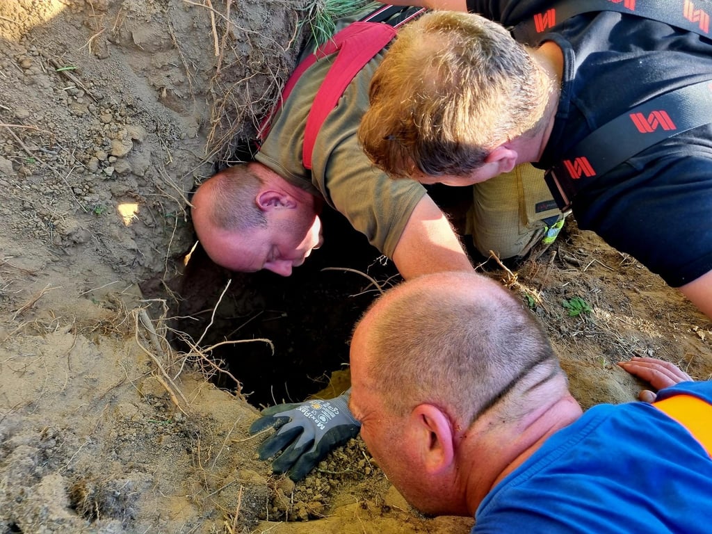 Der Hund hatte sich in einem Waldstück bei Burg tief in einem Dachsbau festgesetzt. Die Feuerwehr musste ran - Versuche, das Tier zu greifen, misslangen zunächst.