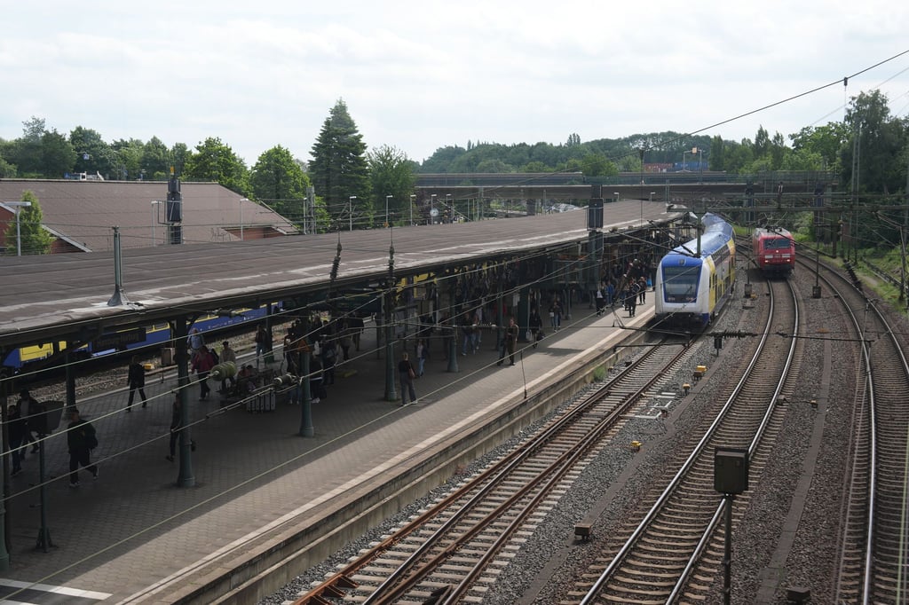 Vom Bahnhof Harburg wurde 27-Jährige auf das Revier gebracht. (Archivbild)