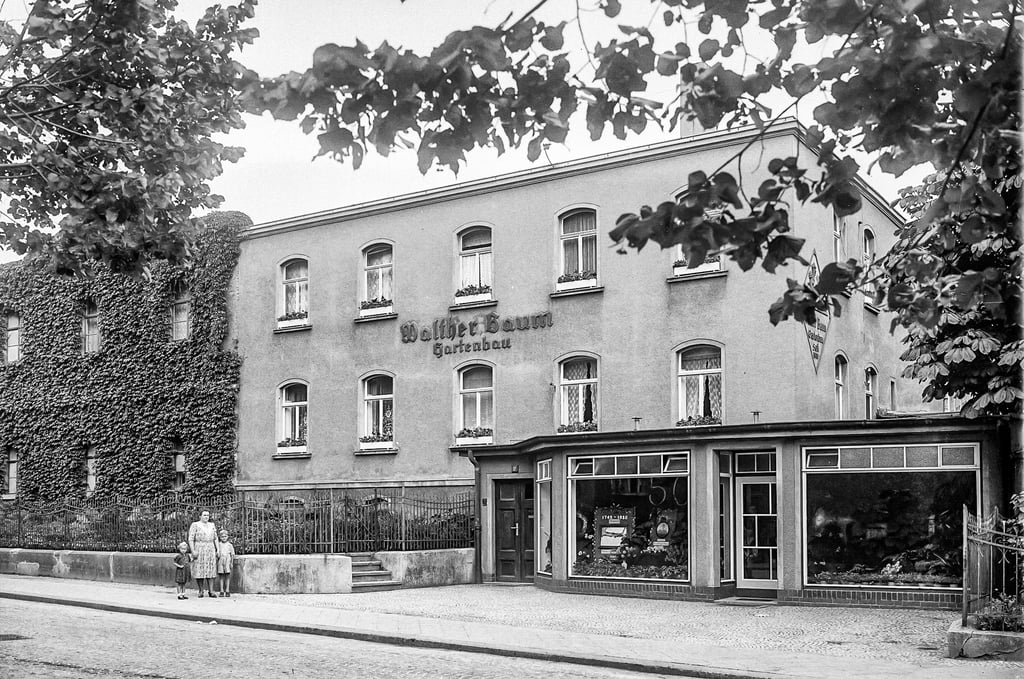 So zeigte sich das frühere Wohn- und Geschäftshaus des Gartenbaubetriebes von Walther Baum in der Gleinaer Straße 12 mit angebauten Verkaufspavillon im Jubiläumsjahr der Firma 1950.