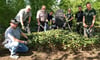 Die Putzaktion auf einem Friedhof in Magdeburg offenbart alte Grabsteine.