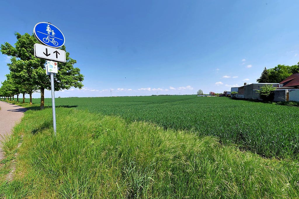 Die Anlage ist bei Porst in Richtung Osternienburg geplant.
