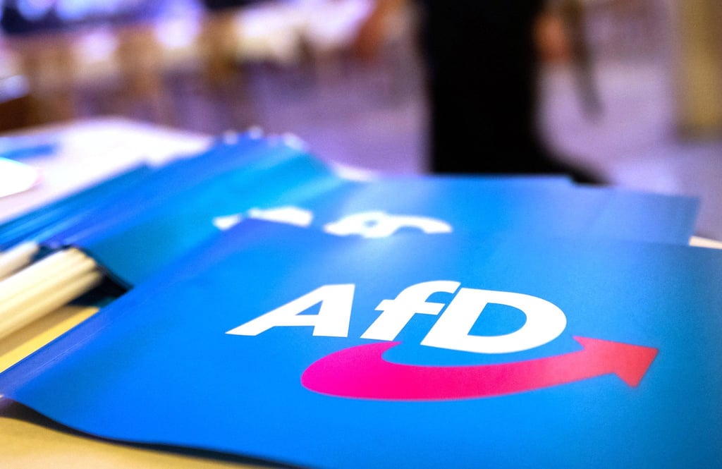 Das Bundesamt für Verfassungsschutz stuft die AfD als gesichert rechtsextremistisch ein. (Symbolbild)
