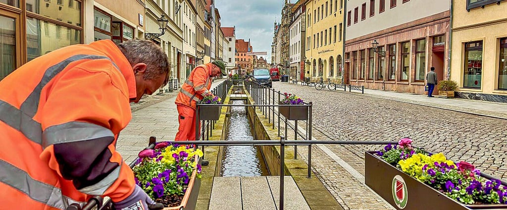Die Blumen sind nicht nur beliebtes Fotomotiv, sondern erfordern – wie hier im letzten Frühling – auch Arbeit und Geld.