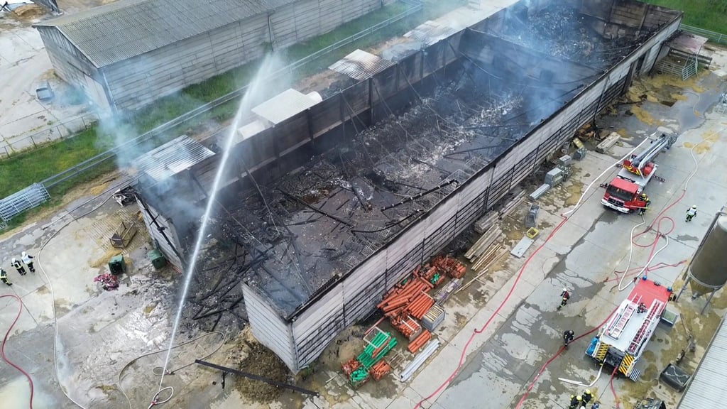 Feuerwehrgroßeinsatz auf einem Milchhof in Tucheim im Jerichower Land. Viele Kälber verendeten in den Flammen.