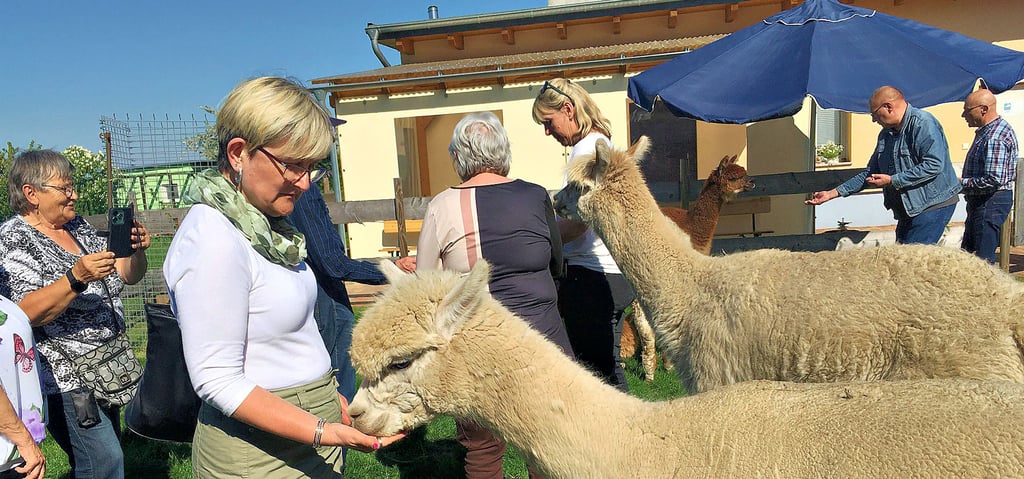 Wie viele traut sich auch Simone Goertz ganz nah an die Alpakas in Eickendorf heran.