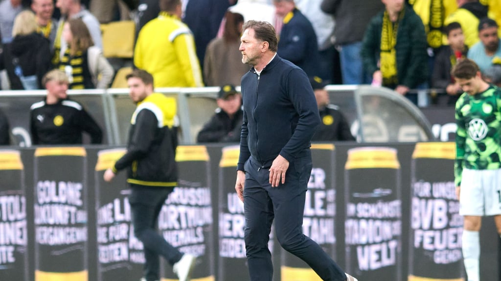 Muss gehen: VfL Wolfsburgs bisheriger Trainer Ralph Hasenhüttl.
