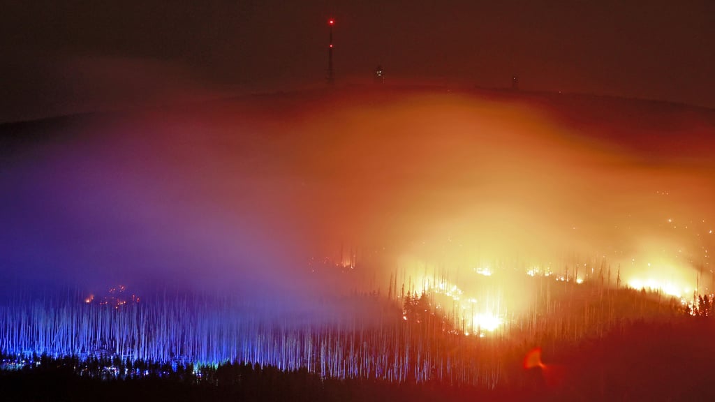 Im September 2024 gab es zuletzt einen Großbrand im Nationalpark Harz. Landrat Thomas Balcerowski wirft Nationalparkchef Roland Pietsch zu wenig Engagement beim vorbeugenden Brandschutz vor - Pietsch weist das zurück.
