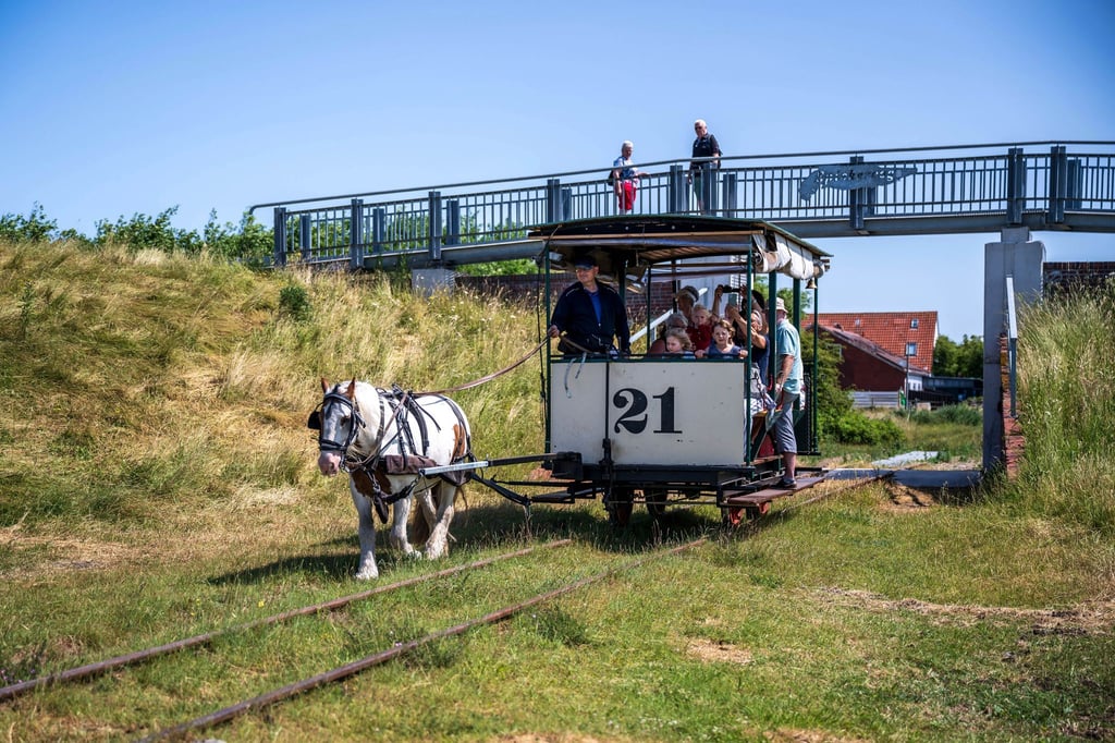 Viele Urlauber fahren im Sommer gern mit der historischen Pferdebahn. (Archivbild)