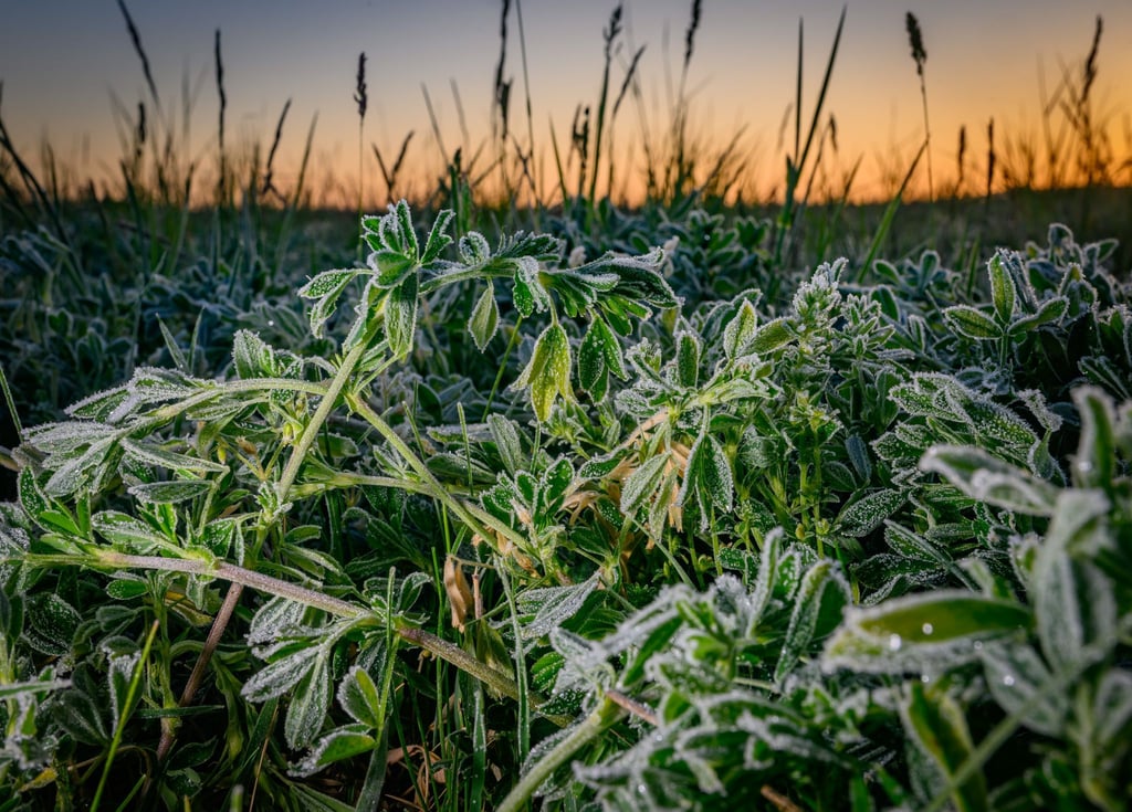 Frostiges Wetter in Brandenburg