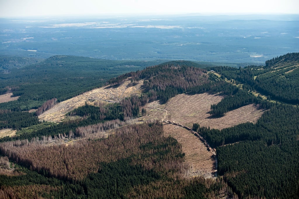 Am westlichen Harzrand soll nach den Rohstoffen gesucht werden (Archivbild).
